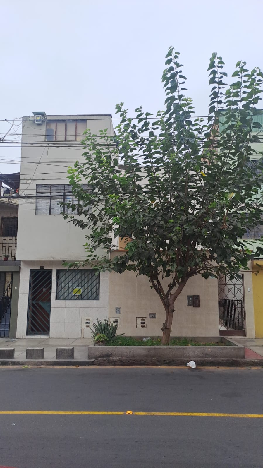 DEPARTAMENTO 67m2 3 DOR 1 BAÑO URB SOL DE ORO – LOS OLIVOS $ 76.000