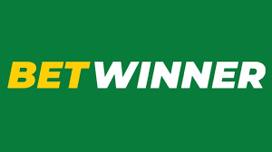 Exploring the BetWinner Online Gambling Platform Your Comprehensive Guide