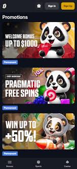 Exciting New Releases at Bitfortune Casino – May 2026